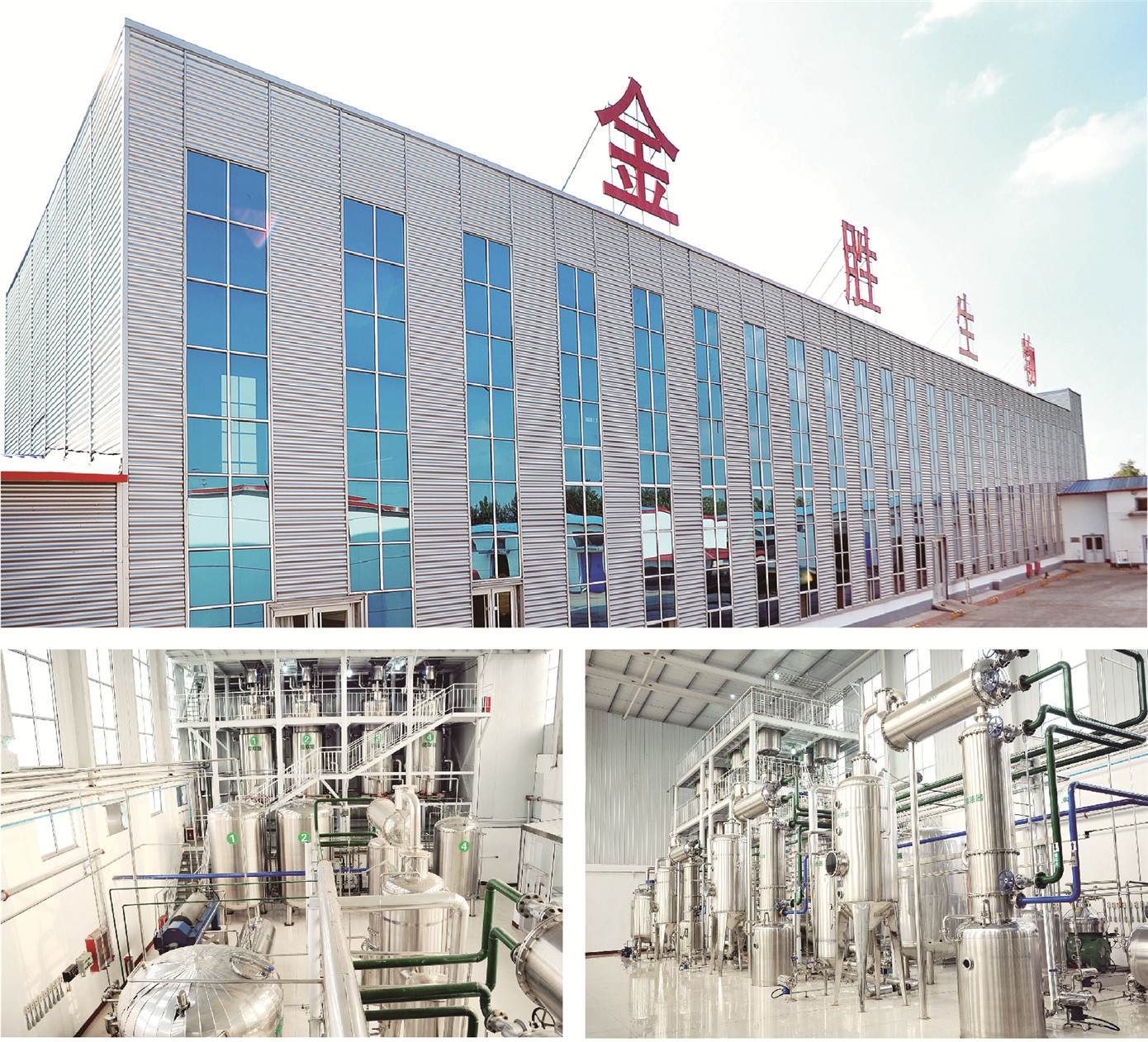 MG冰球游戏生物公司.jpg