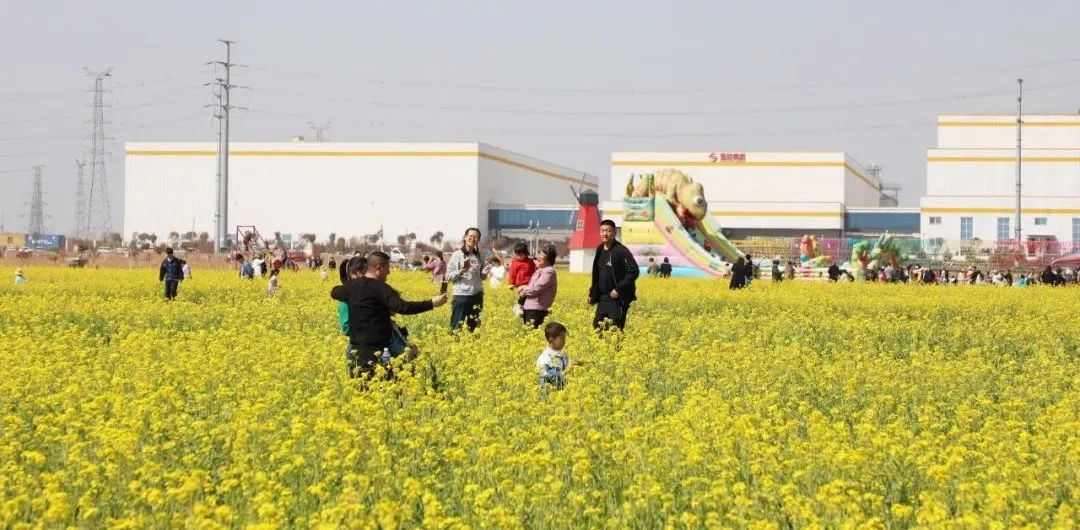 MG冰球游戏花生小镇2023油菜花田旅游7.png