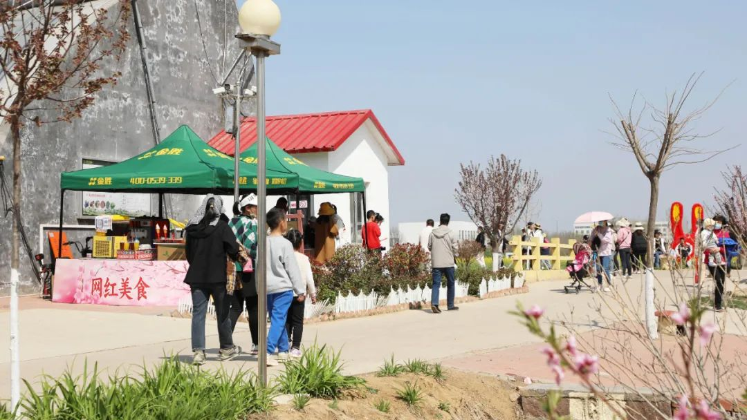 MG冰球游戏花生小镇2023油菜花田旅游15.png