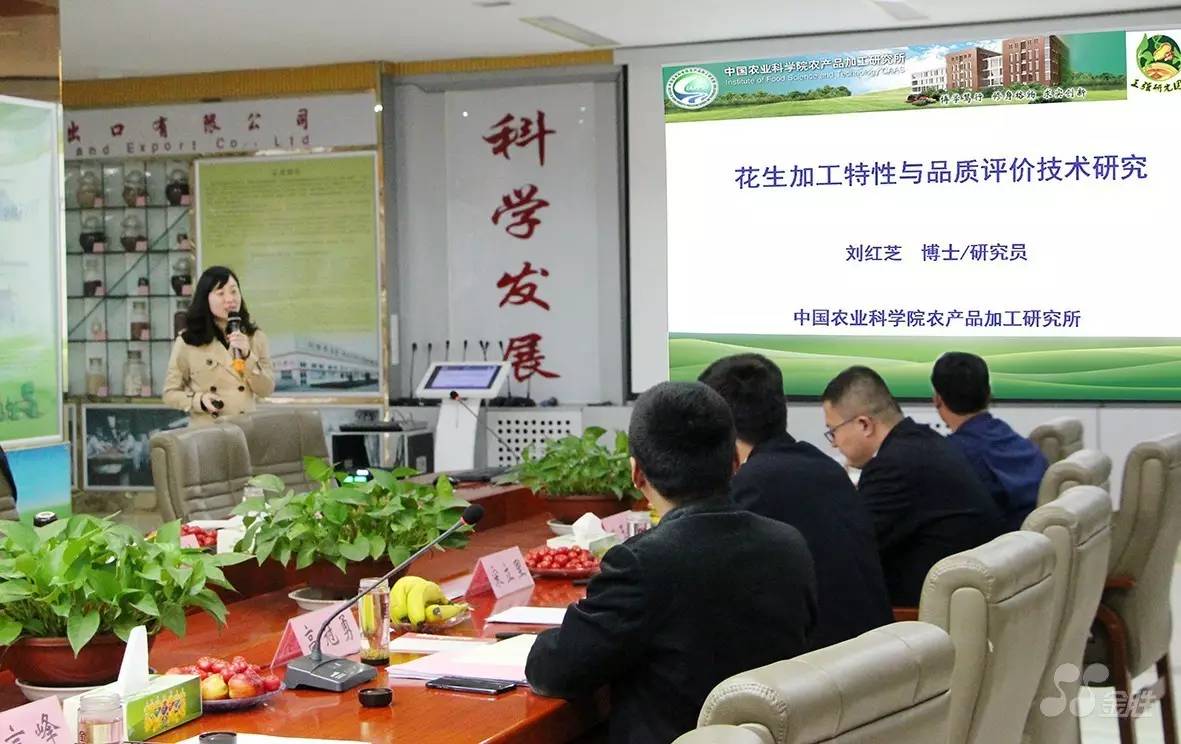 冰球突破-冰球电游豪华版_MG冰球游戏