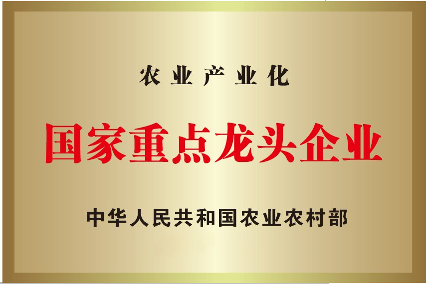 冰球突破-冰球电游豪华版_MG冰球游戏