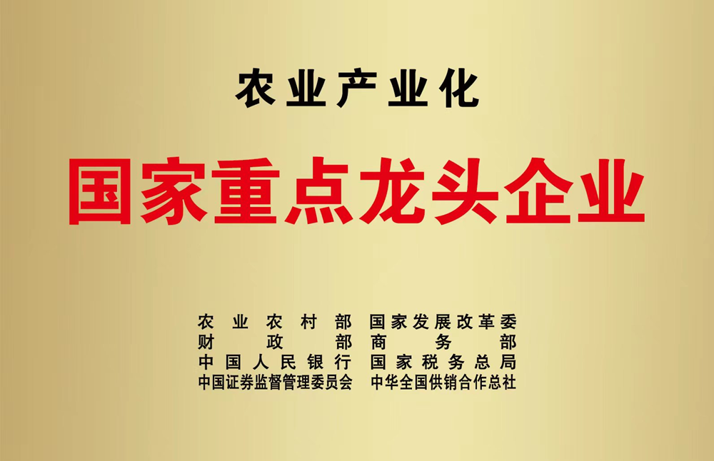 冰球突破-冰球电游豪华版_MG冰球游戏