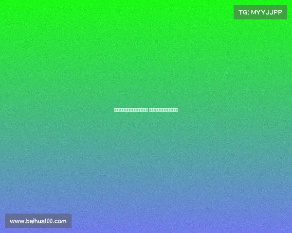 武切维奇助力公牛引援成绩显著 强调球队重建需耐心与远见