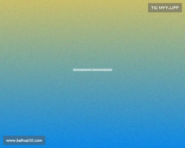 美国队勇夺桥牌世界杯冠军 展现卓越团队协作与战略智慧